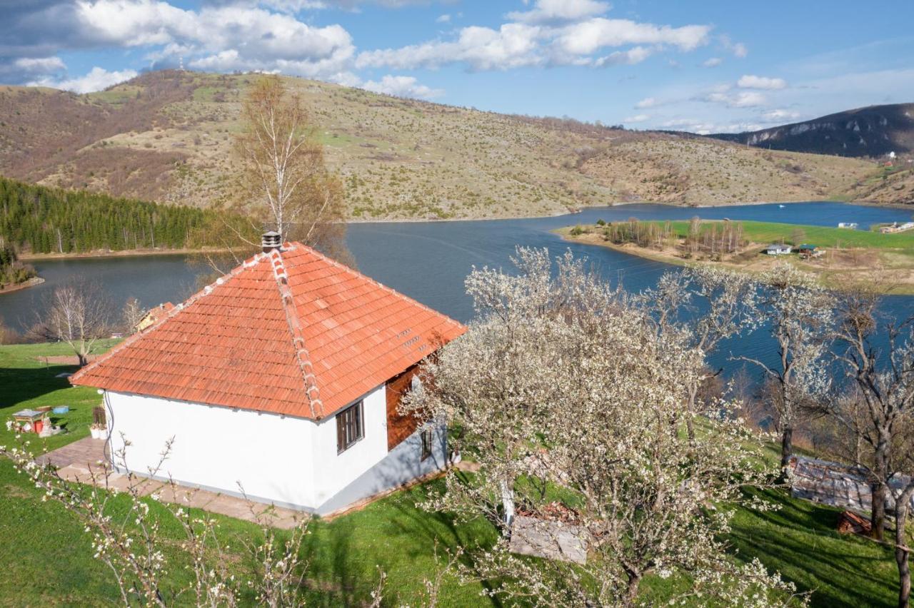 Uvac Griffon Villa Nova Varoš Eksteriør billede