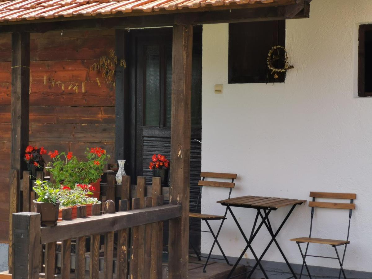Uvac Griffon Villa Nova Varoš Eksteriør billede