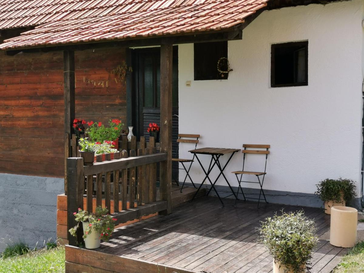 Uvac Griffon Villa Nova Varoš Eksteriør billede