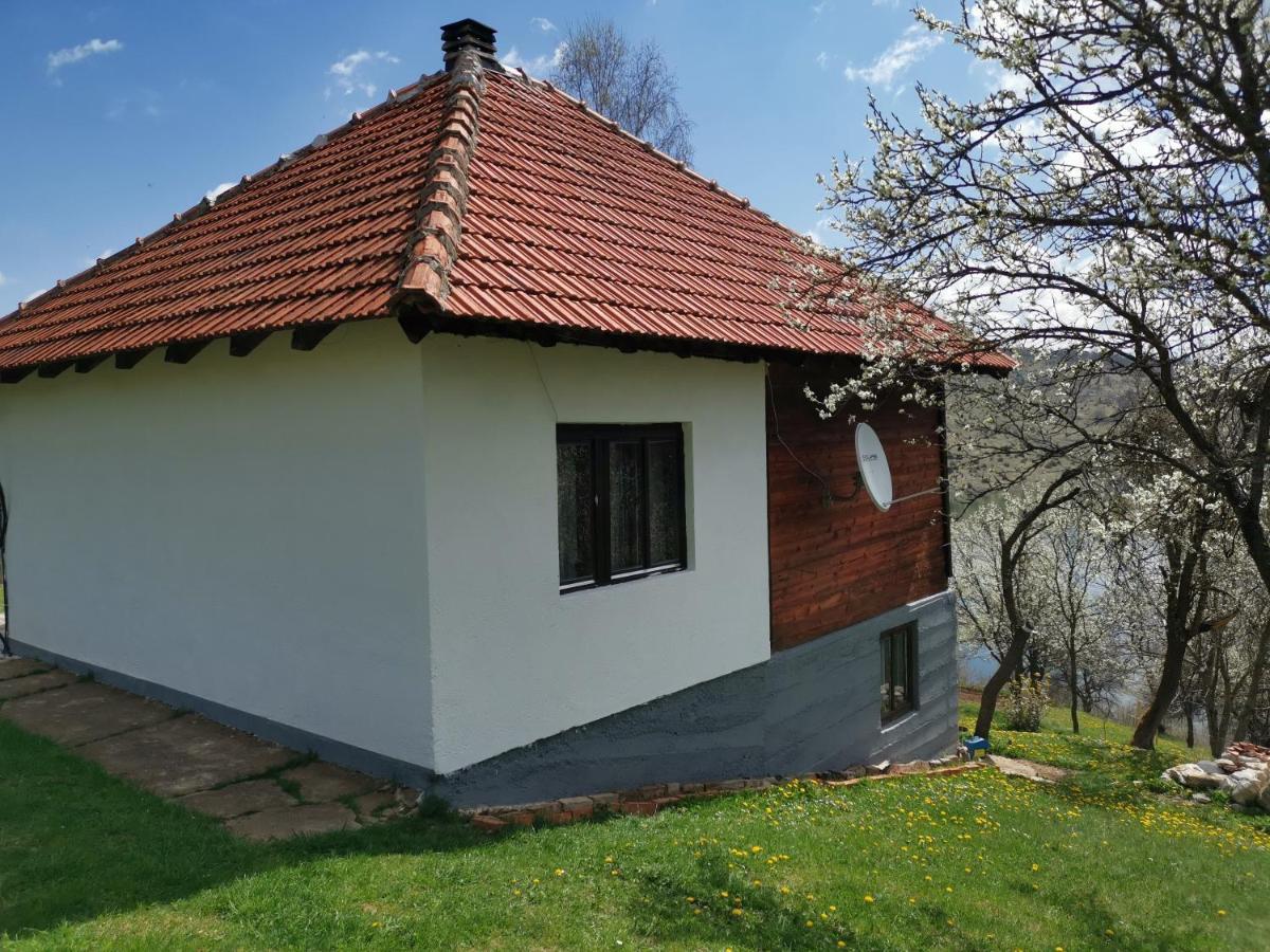 Uvac Griffon Villa Nova Varoš Eksteriør billede