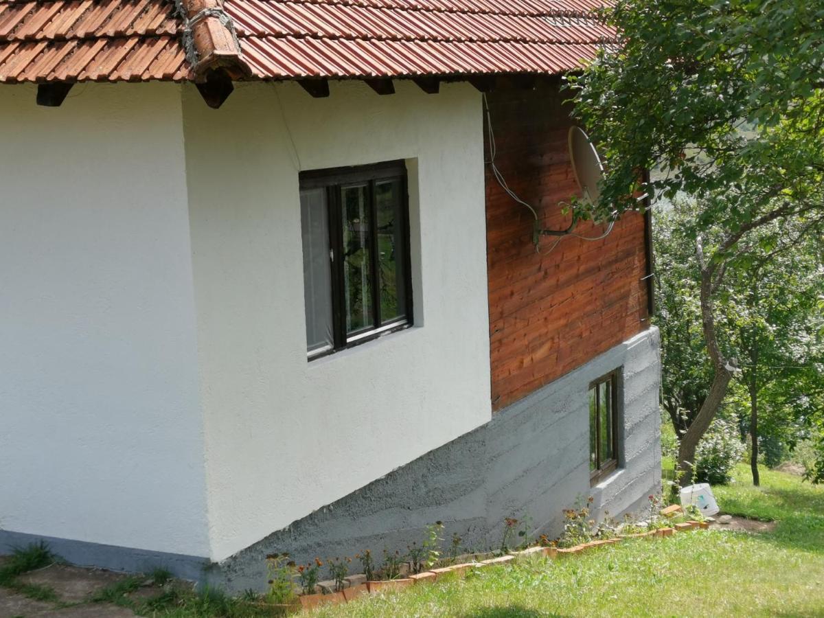 Uvac Griffon Villa Nova Varoš Eksteriør billede