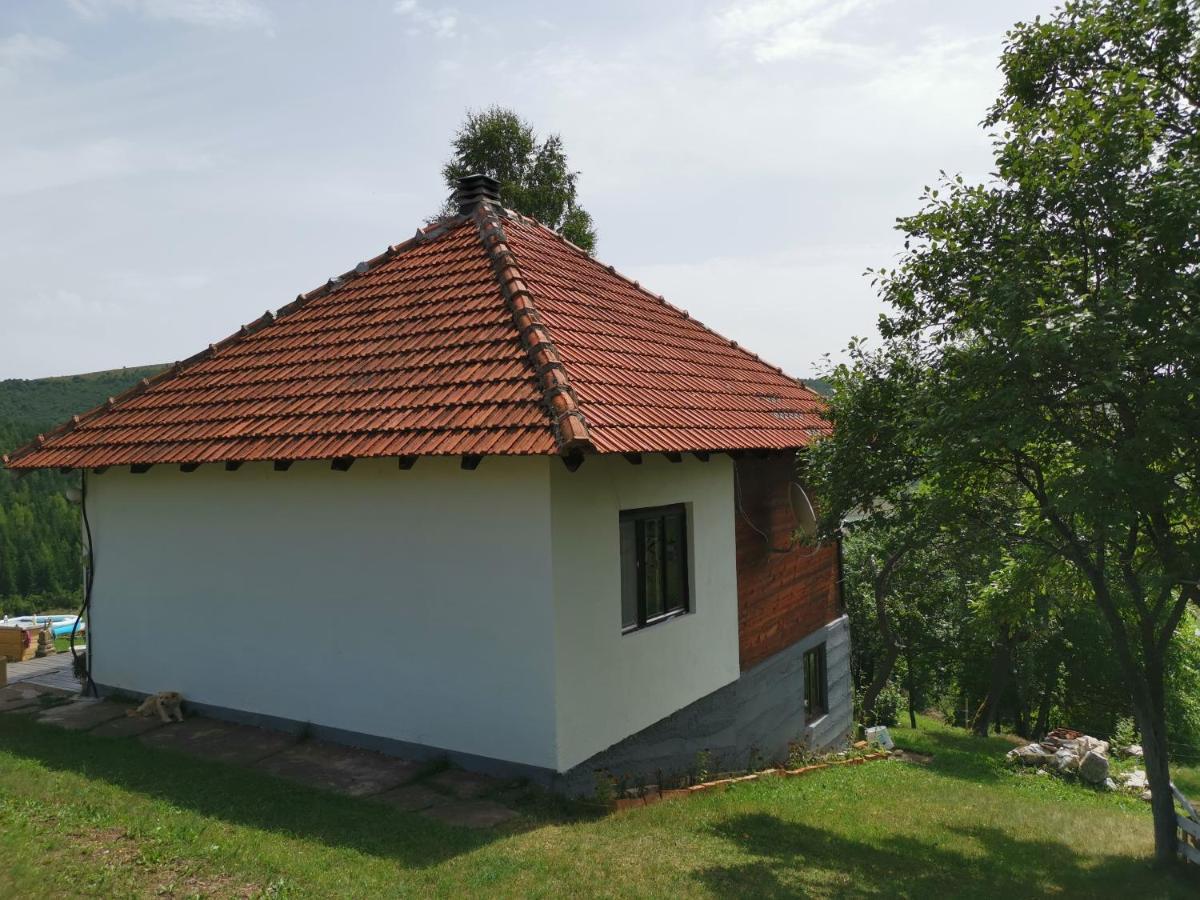 Uvac Griffon Villa Nova Varoš Eksteriør billede