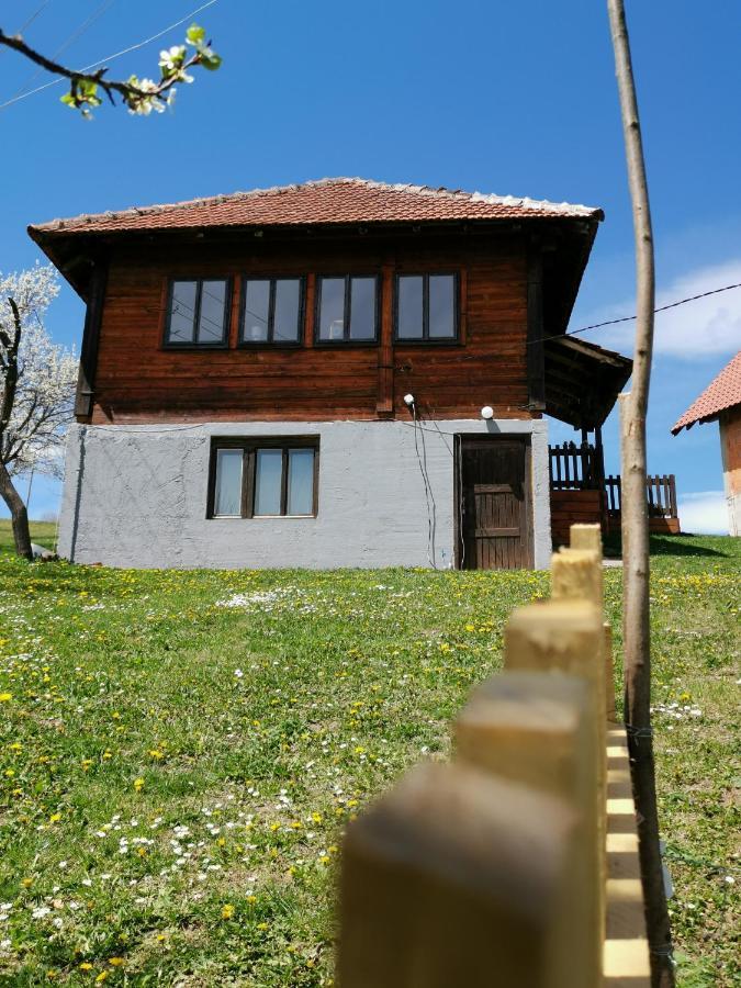 Uvac Griffon Villa Nova Varoš Eksteriør billede
