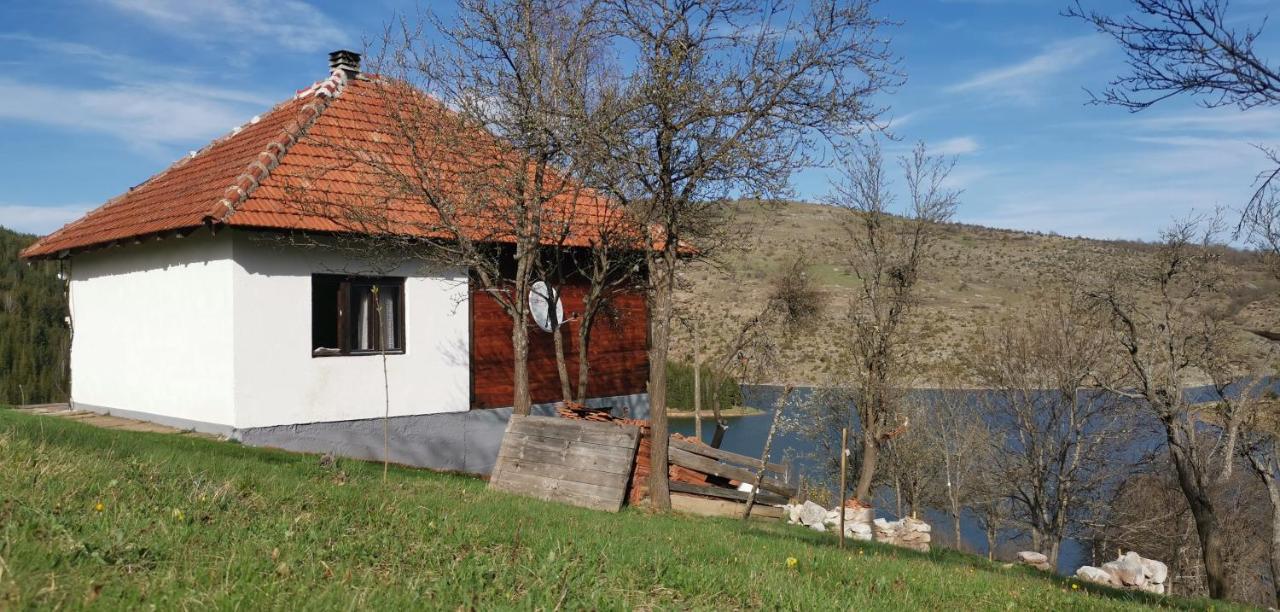 Uvac Griffon Villa Nova Varoš Eksteriør billede